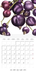 FRUITS SELECTED PAINTINGS BY YANNY PETTERS (Wall Calendar 2021 300 × 300 mm Square)