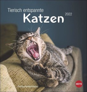Tierisch entspannte Katzen Postkartenkalender 2022