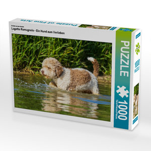 CALVENDO Puzzle Ein Motiv aus dem Kalender Lagotto Romagnolo - Ein Hund zum Verlieben 1000 Teile Puzzle quer