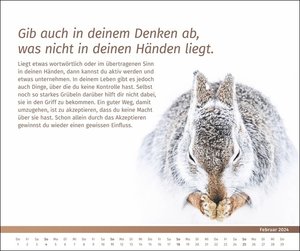 PAL-Lebensfreude-Inspirationen-Kalender 2024: Wandkalender zum Aufhängen, wunderschöne Landschaftsmotive mit motivierenden und positiven Gedanken. 55 x 46 cm