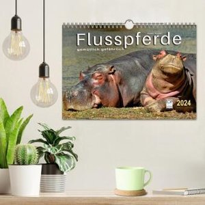 Flusspferde - gemütlich gefährlich (Wandkalender 2024 DIN A4 quer), CALVENDO Monatskalender