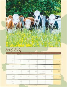 Kuh Kalender 2026