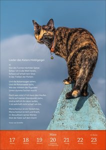 Literaturkalender Katzen Wochen-Kulturkalender 2025