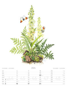 Alpenblumen-Aquarelle Kalender 2024