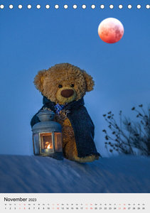 Travelling Teddy liebt es Bunt (Tischkalender 2023 DIN A5 hoch)