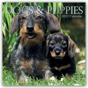 Dogs & Puppies - Hunde & Welpen 2022 - 16-Monatskalender