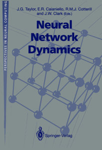 Neural Network Dynamics
