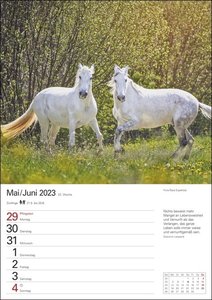Pferde Wochenplaner 2023. Wochenkalendarium, Zitate und Pferdefotos in einem praktischen Termin-Kalender. Funktion trifft auf Design: Hochwertiger Fotokalender mit Raum für Notizen.