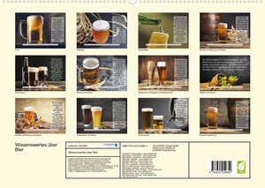Wissenswertes über Bier (Premium, hochwertiger DIN A2 Wandkalender 2023, Kunstdruck in Hochglanz)