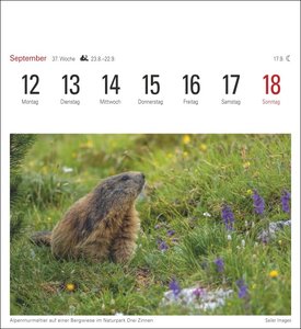 Südtirol Kalender 2022