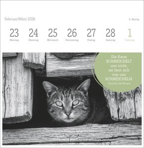 Katzen Weisheiten Premium-Postkartenkalender 2026