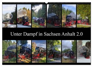 Unter Dampf in Sachsen Anhalt 2.0 (Wandkalender 2024 DIN A2 quer), CALVENDO Monatskalender