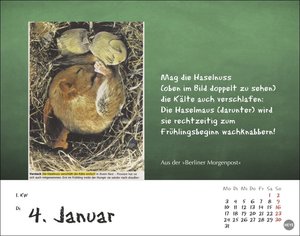Bastian Sick Tagesabreißkalender 2022