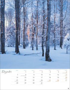 Jenseits der Hast Posterkalender 2026