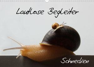 Lautlose Begleiter - Schnecken (Wandkalender 2023 DIN A3 quer)