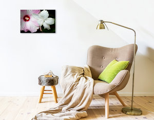 Premium Textil-Leinwand 45 cm x 30 cm quer Hibiscus Moscheutos und Hibiscus Swan Lake