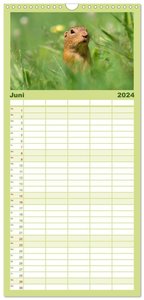 Familienplaner 2024 - Ziesel auf Augenhöhe mit 5 Spalten (Wandkalender, 21 x 45 cm) CALVENDO
