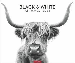 Black & White Animals 2024. Stars der Tierwelt in einem Fotokunst-Kalender! Großer Wandkalender für Tier-Freunde - hochwertige Aufnahmen in Schwarz-Weiß