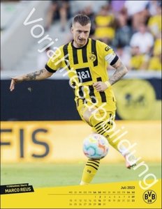 BVB Posterkalender. Jahres-Wandkalender 2024 für Fußballfans. Fotokalender mit den Stars von Borussia Dortmund. Kalender im Hochformat 34 x 44 cm.