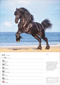 Pferde Wochenplaner 2026 - 53 faszinierende Fotografien
