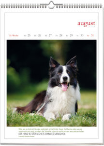 Literarischer Hunde - Kalender 2025