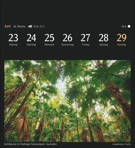 Weltreisen Postkartenkalender 2025 - Kalender mit 53 Postkarten