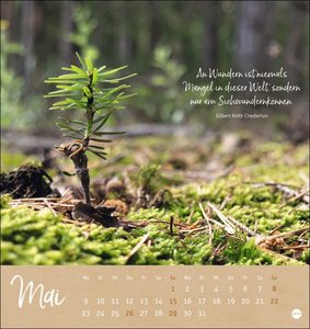 Unser Wald Postkartenkalender 2022