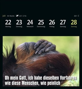 Animal Memes Postkartenkalender 2024. Witzige Tierfotos mal anders: Jede Woche neue Memes mit coolen Sprüchen in einem Tischkalender zum Aufstellen. Zum Lachen und Verschicken