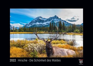 Hirsche - Die Schönheit des Waldes 2022 - Black Edition - Timokrates Kalender, Wandkalender, Bildkalender - DIN A3 (42 x 30 cm)