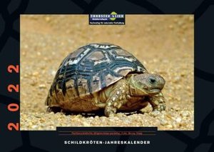 Schildkröten-Jahreskalender 2022