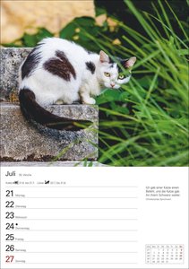 Katzen Wochenplaner 2025 - 53 Blatt mit Zitaten und Wochenchronik