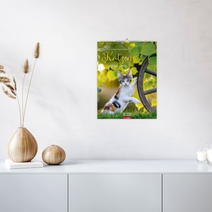 Katzen auf dem Lande Kalender 2026