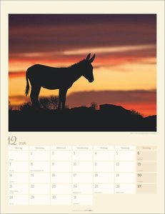 Esel Kalender 2026