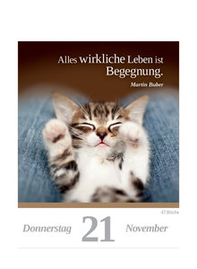 Eine Katze für jeden Tag 2024  - Tagesabreißkalender zum Aufstellen oder Aufhängen