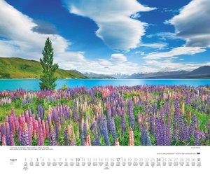 Licht in der Landschaft 2025 – Wandkalender 60,0 x 50,0 cm – Spiralbindung
