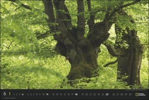 Deutschlands Naturparadiese National Geographic Kalender 2023. Großer Foto-Wandkalender XXL Landschaften-Kalender 2023 mit atemberaubenden Fotos. 58x39 cm Querformat.