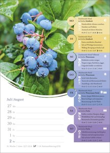 Mondkalender Wochenkalender 2026