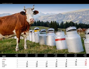 Fröhliche Milchkannen Kalender 2023