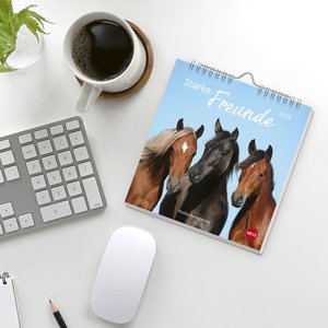 Pferde Postkartenkalender 2026