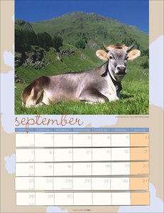 Kuh Kalender 2026