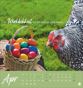Hühner Postkartenkalender 2026