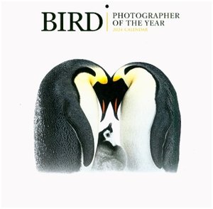 Bird - Photographer of the Year - Vögel - Fotografen des Jahres 2024