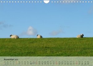 Schafe zählen leicht gemacht! (Wandkalender 2023 DIN A4 quer)