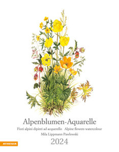Alpenblumen-Aquarelle Kalender 2024