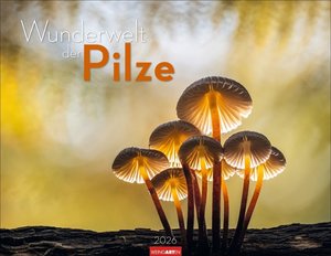 Wunderwelt der Pilze  2026