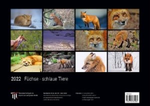 Füchse - schlaue Tiere 2022 - Black Edition - Timokrates Kalender, Wandkalender, Bildkalender - DIN A3 (42 x 30 cm)