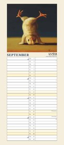 Lucia Heffernan: Yoga Chicks Planer 2025 – Wandkalender – Notiz-Kalender mit 2 Spalten – Format 22 x 49,5 cm