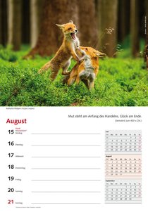 Wochenkalender Waldtiere unserer Heimat 2022