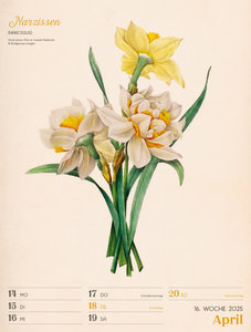 Ars Floralis - Vintage Wochenplander Kalender 2025
