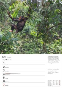 Wunder der Natur Wochenplaner 2026